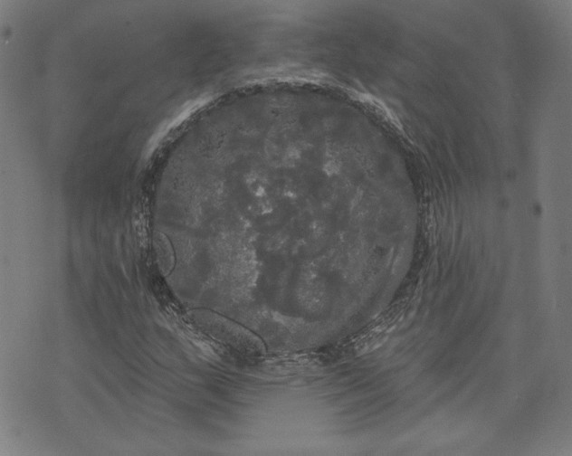 X0000070341159200606231525