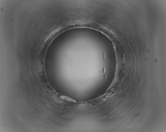 X0000070341160200606231525