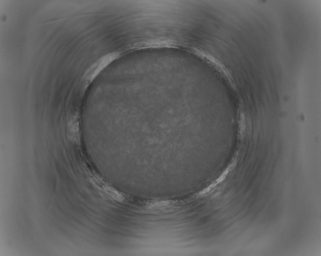 X0000070341162200606231525