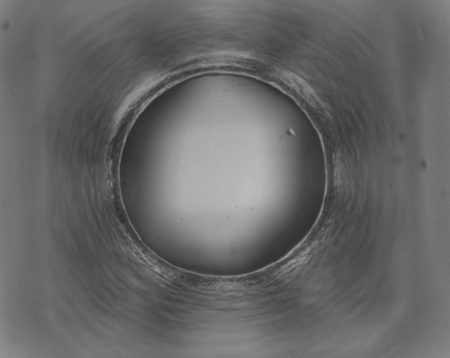 X0000070341164200606231525