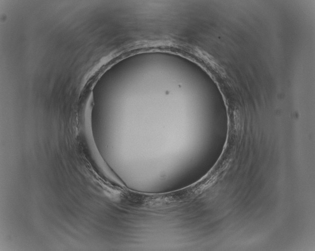 X0000070341165200606231525