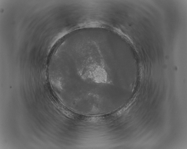 X0000070341166200606231525