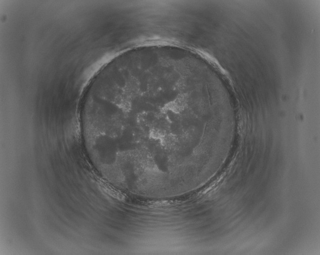 X0000070341167200606231525