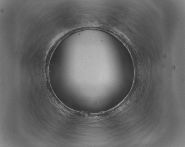 X0000070341168200606231525