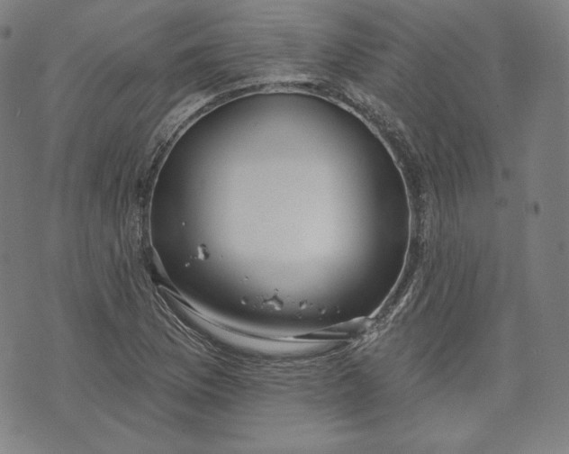 X0000070341169200606231525