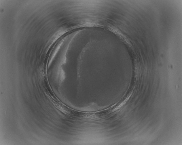 X0000070341170200606231525