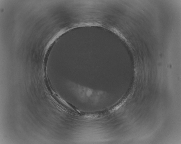 X0000070341173200606231525