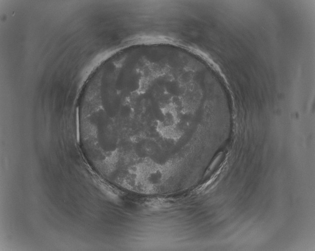 X0000070341175200606231525