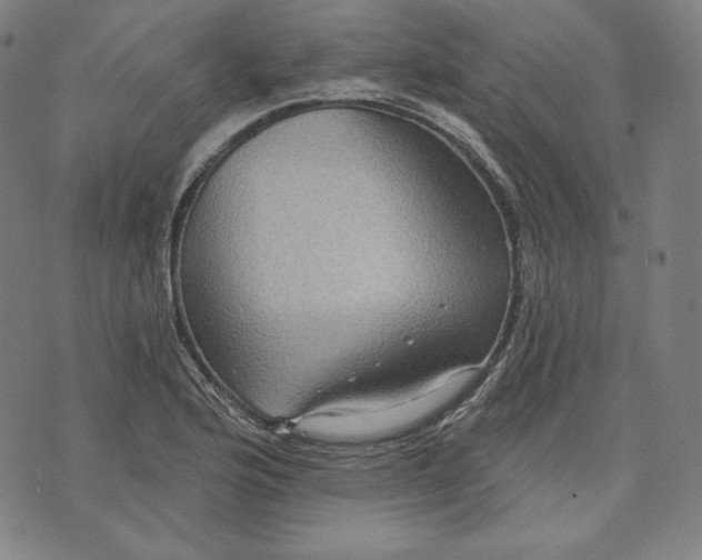 X0000070341176200606231525