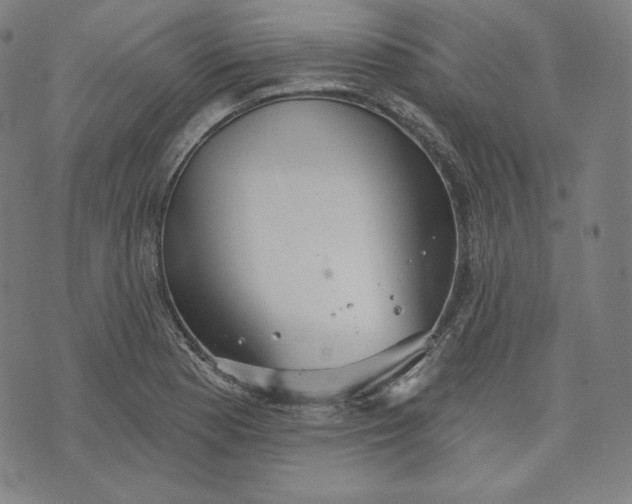 X0000070341177200606231525