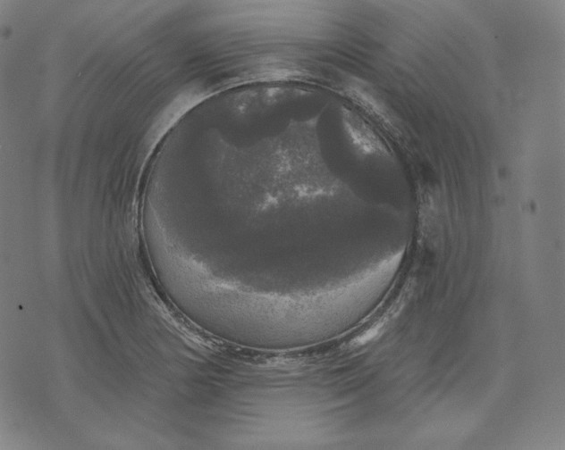 X0000070341178200606231525