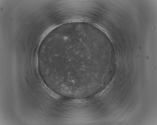 X0000070341179200606231525