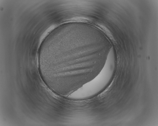 X0000070341180200606231525