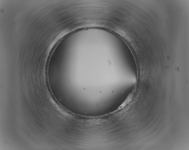 X0000070341181200606231525