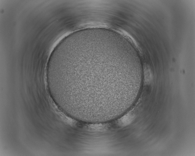 X0000070341182200606231525