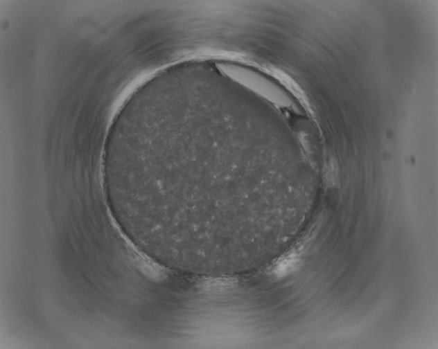 X0000070341183200606231525