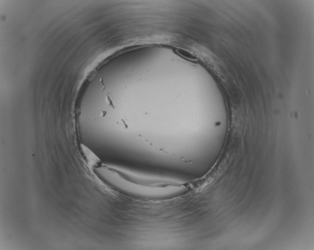 X0000070341184200606231525