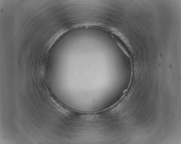 X0000070341185200606231525