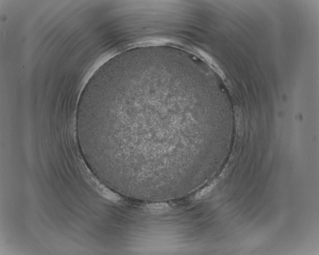 X0000070341186200606231525