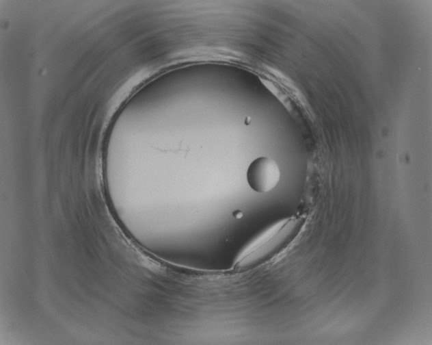 X0000070341188200606231524