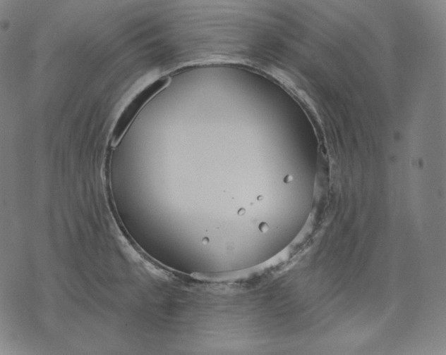 X0000070341189200606231524