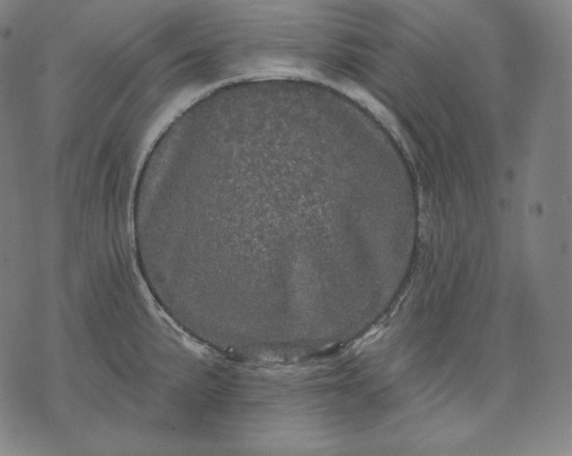 X0000070341191200606231524