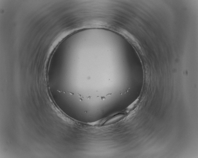 X0000070341192200606231524