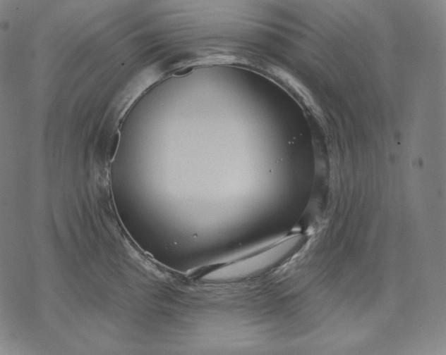 X0000070341193200606231524