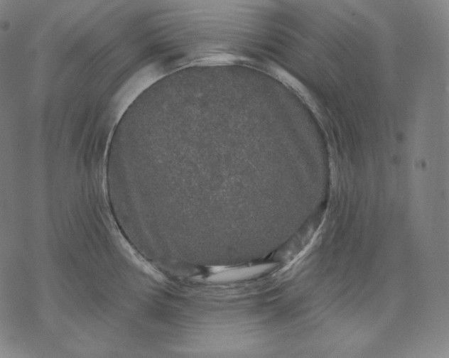 X0000070341194200606231524