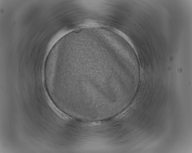 X0000070341195200606231524