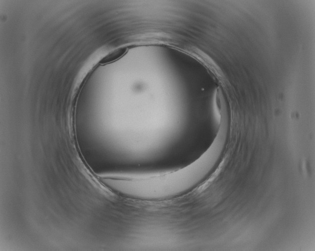 X0000070341196200606231524