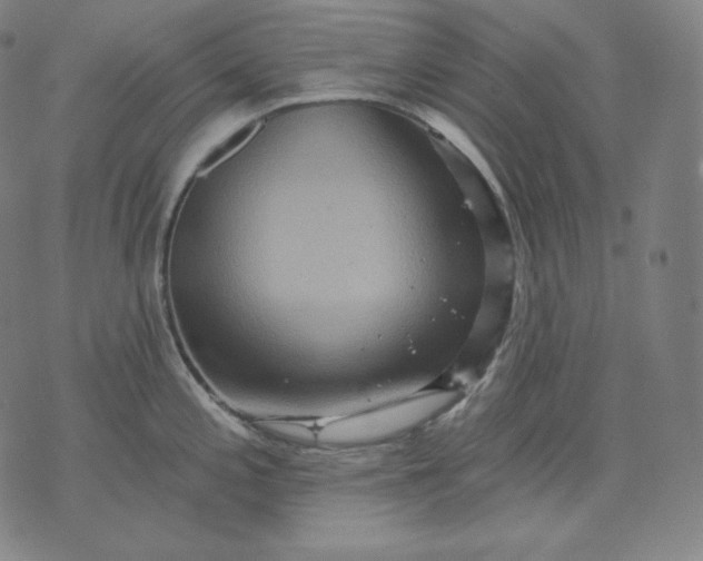 X0000070341197200606231524