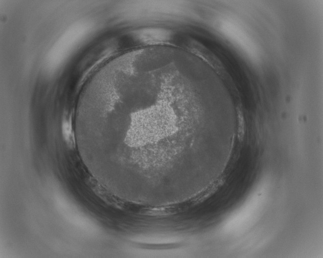 X0000070341198200606231524