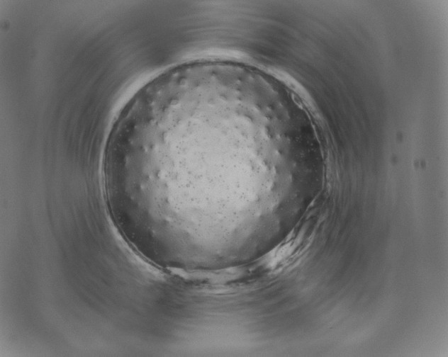 X0000070341199200606231524