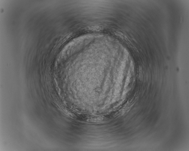 X0000070341201200606231523