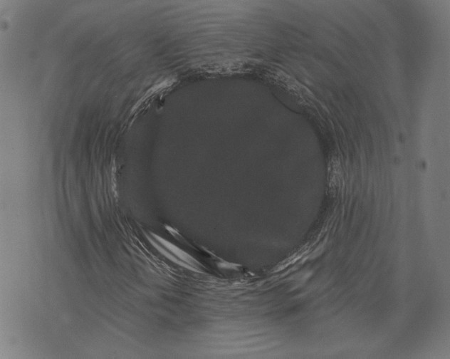 X0000070341202200606231524