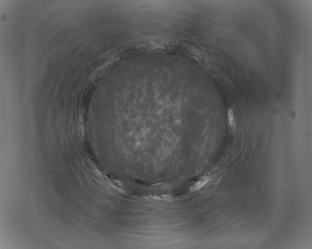 X0000070341203200606231524