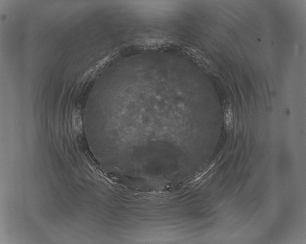 X0000070341204200606231524