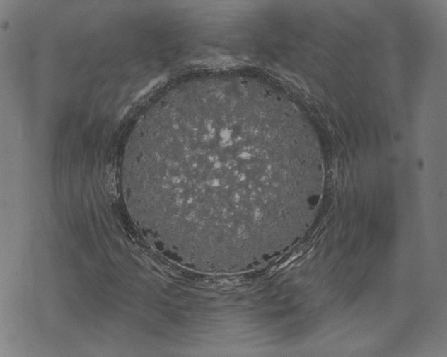 X0000070341205200606231524