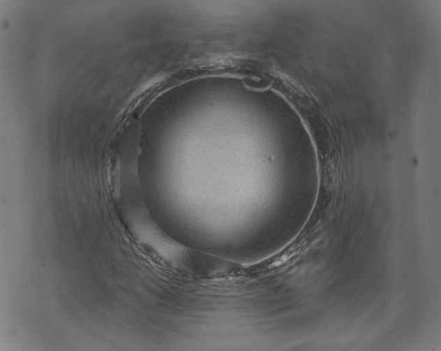 X0000070341206200606231524