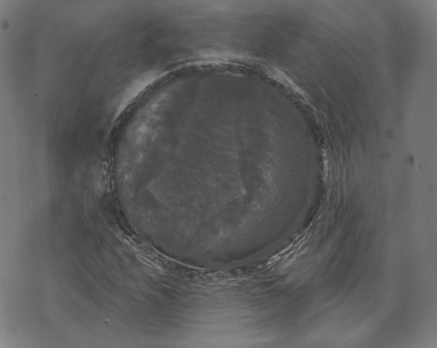 X0000070341208200606231524