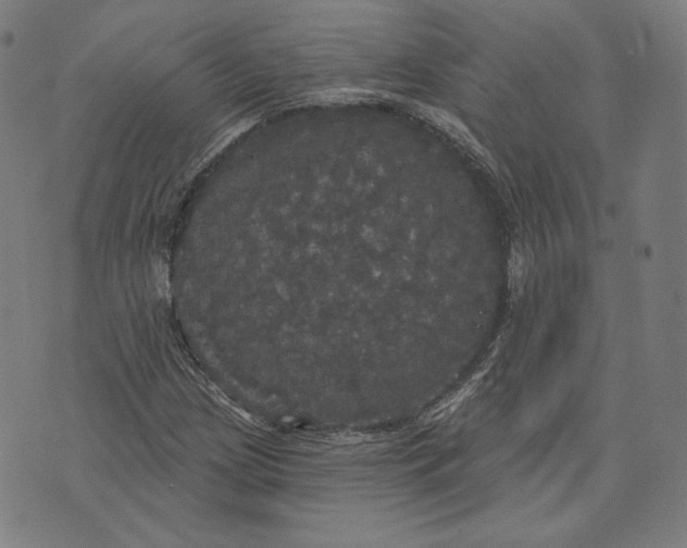 X0000070341209200606231524