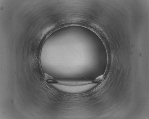 X0000070341210200606231524