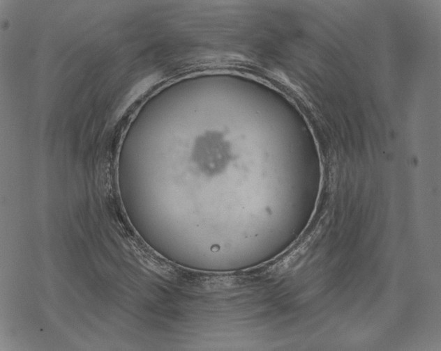 X0000070341211200606231524