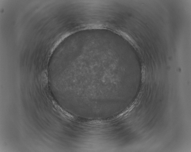 X0000070341212200606231524