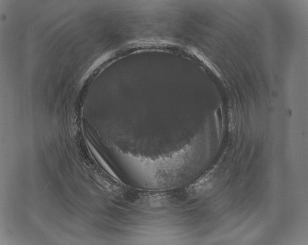 X0000070341213200606231524