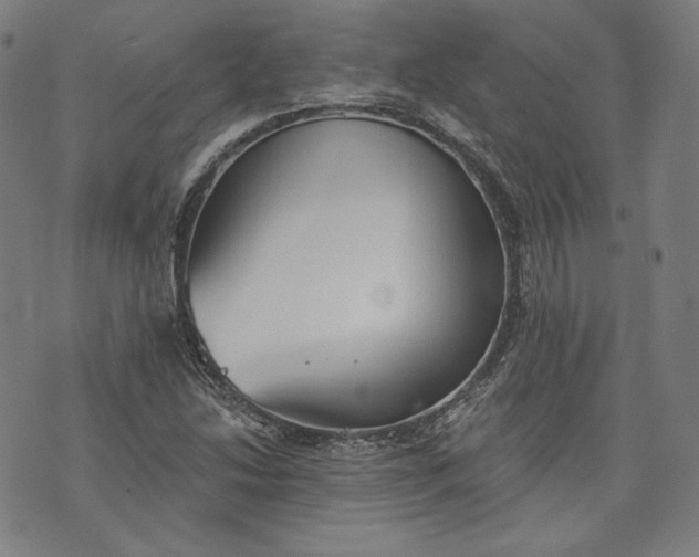 X0000070341214200606231524