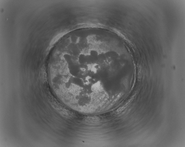 X0000070341215200606231524