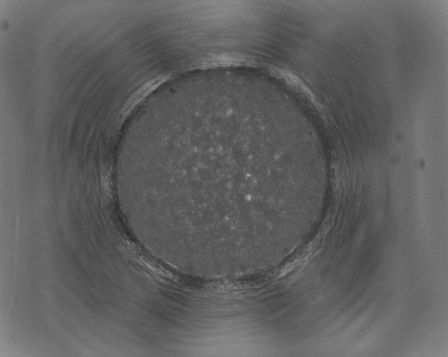 X0000070341217200606231524