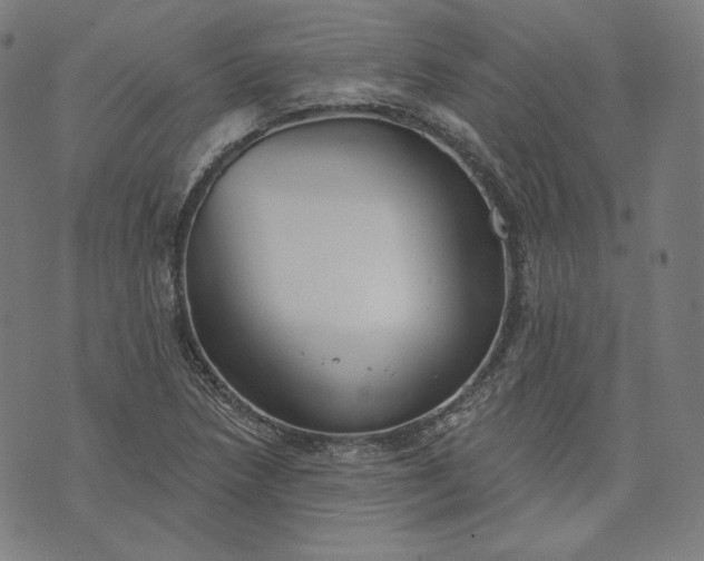 X0000070341218200606231524